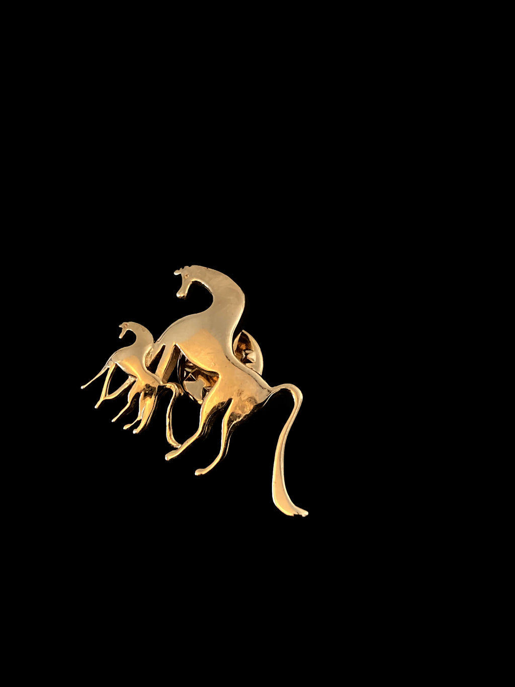The Proud Brooch worn