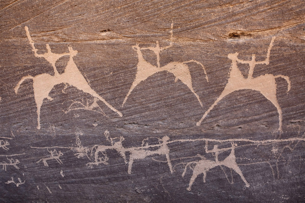 The Horse Mark Earrings