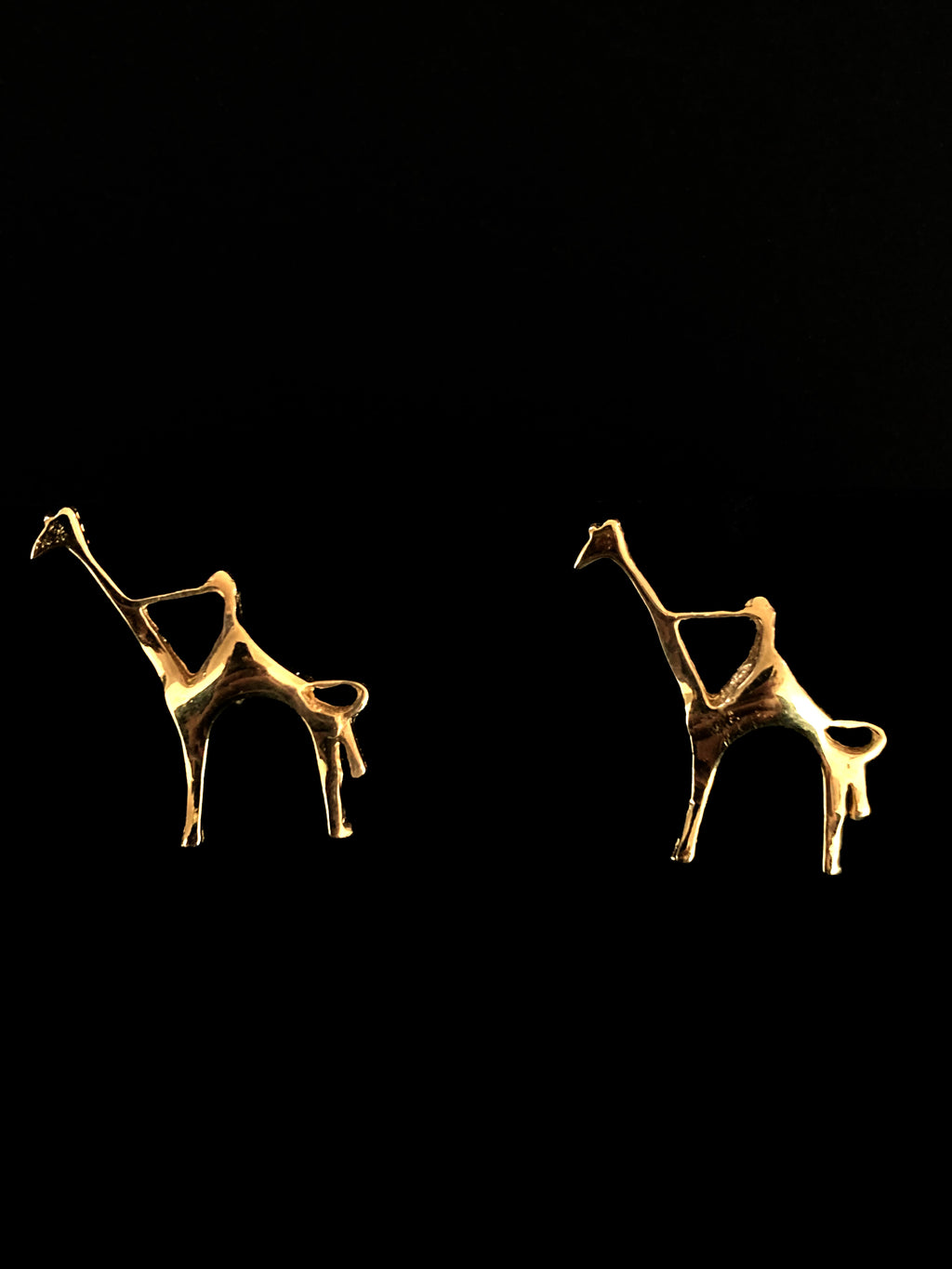 The Desert Ark Earrings detail