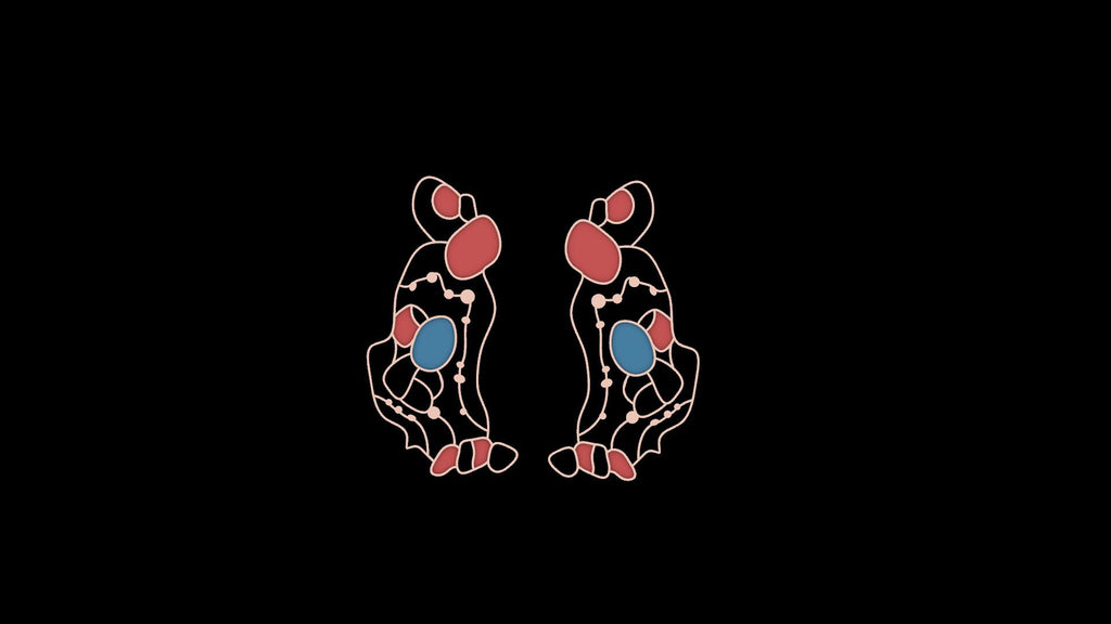 The Enigma Earrings