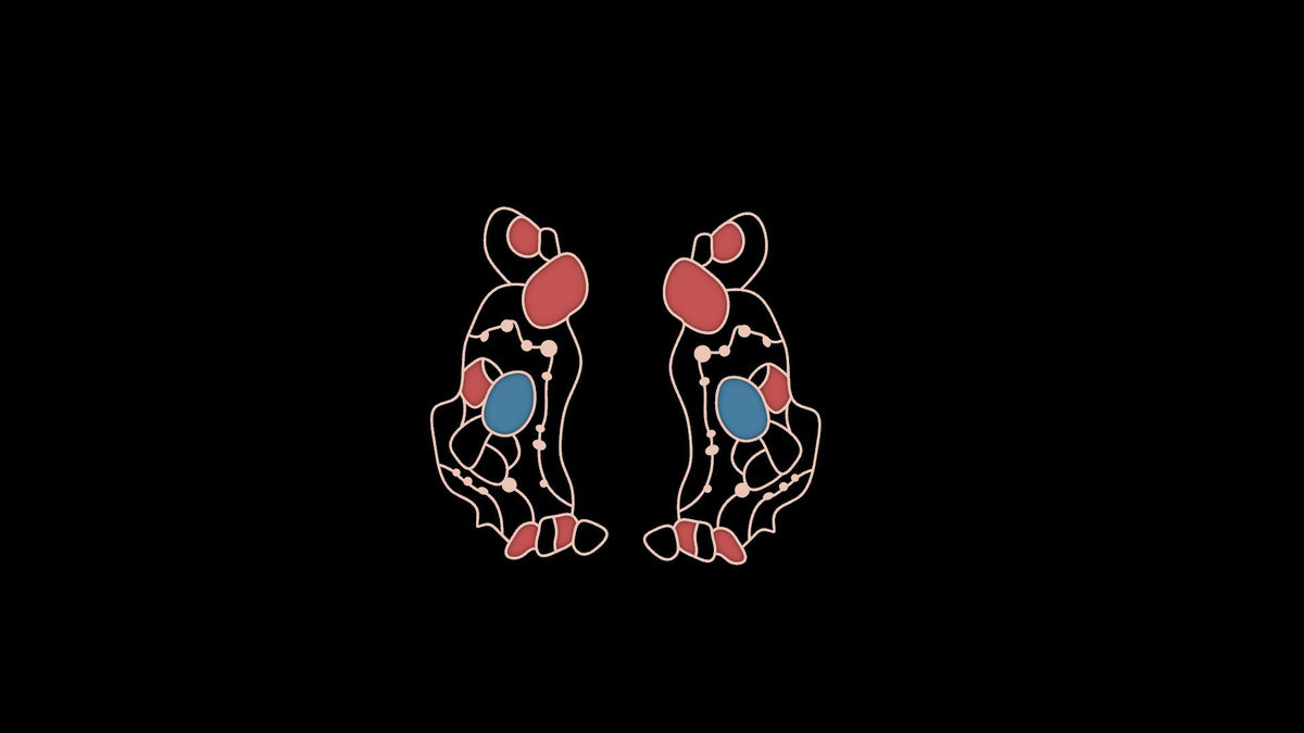 The Enigma Earrings