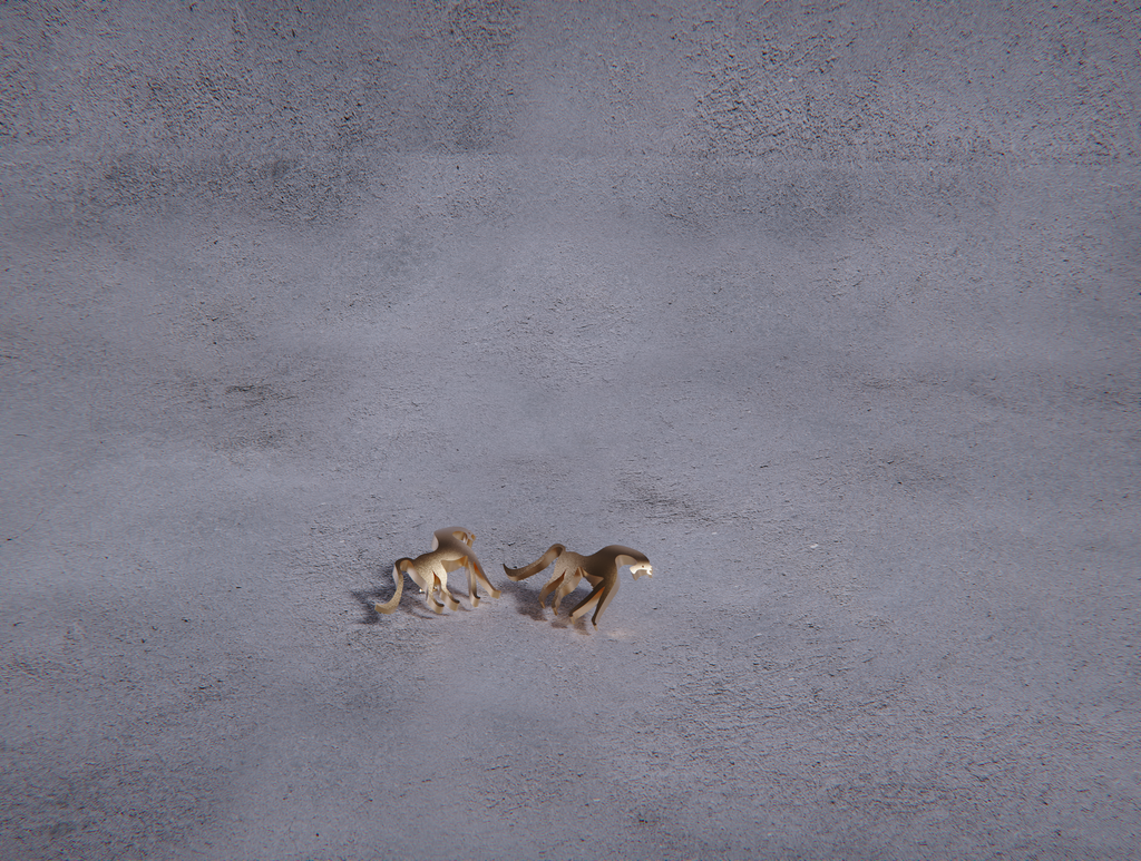 The Arabian Horse Earrings