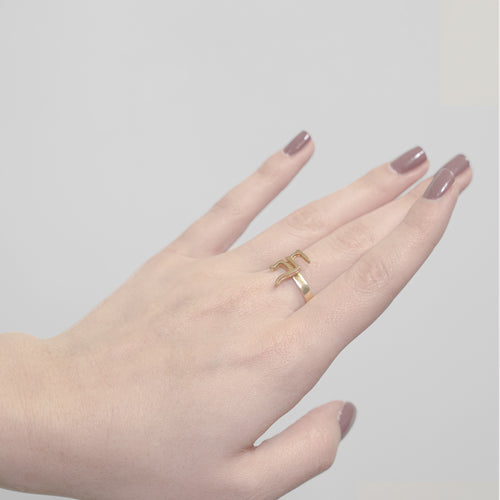 Nabataean Love Ring worn