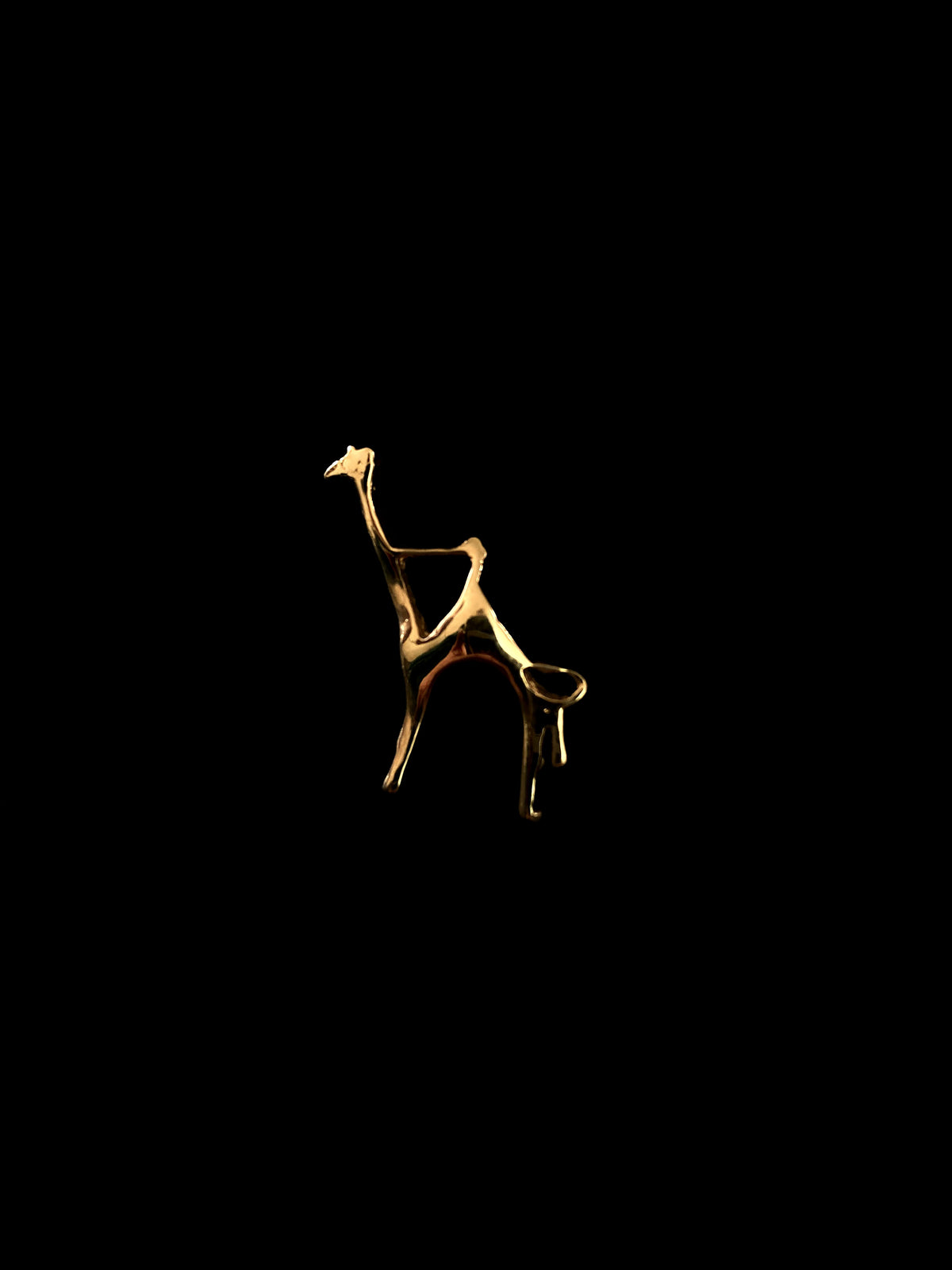 The Desert Ark Brooch